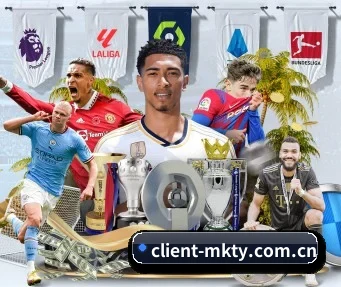 MK体育 APP